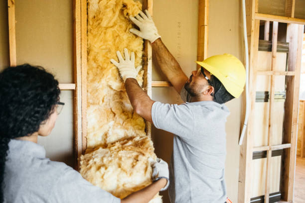 Best Insulation for New Construction  in Kure Beach, NC